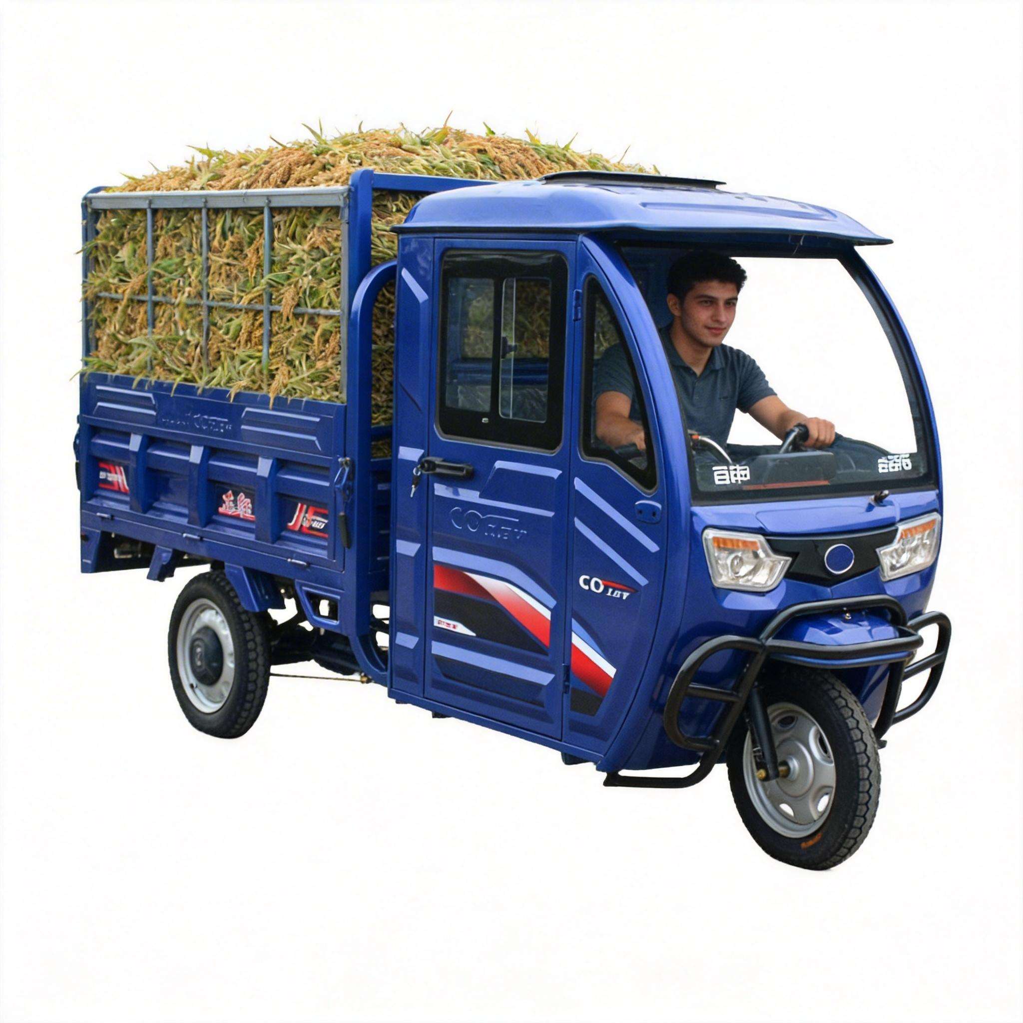 Cargo Vehicle Electric Trike E - Home Improvement Fence ulasan dan harga